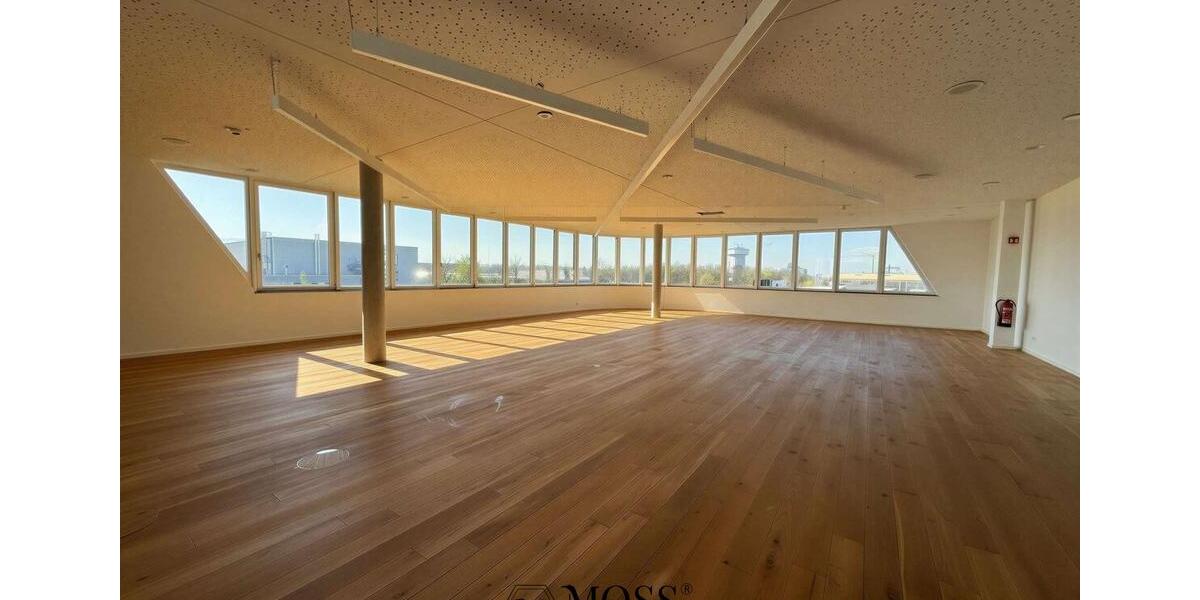 Gewerbeobjekt Freiburg im Breisgau Lehen - 3.450&euro; | Angebot:26284878