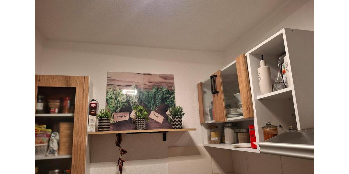 1 Zimmer Wohnung Dorf Mecklenburg 1 zimmer