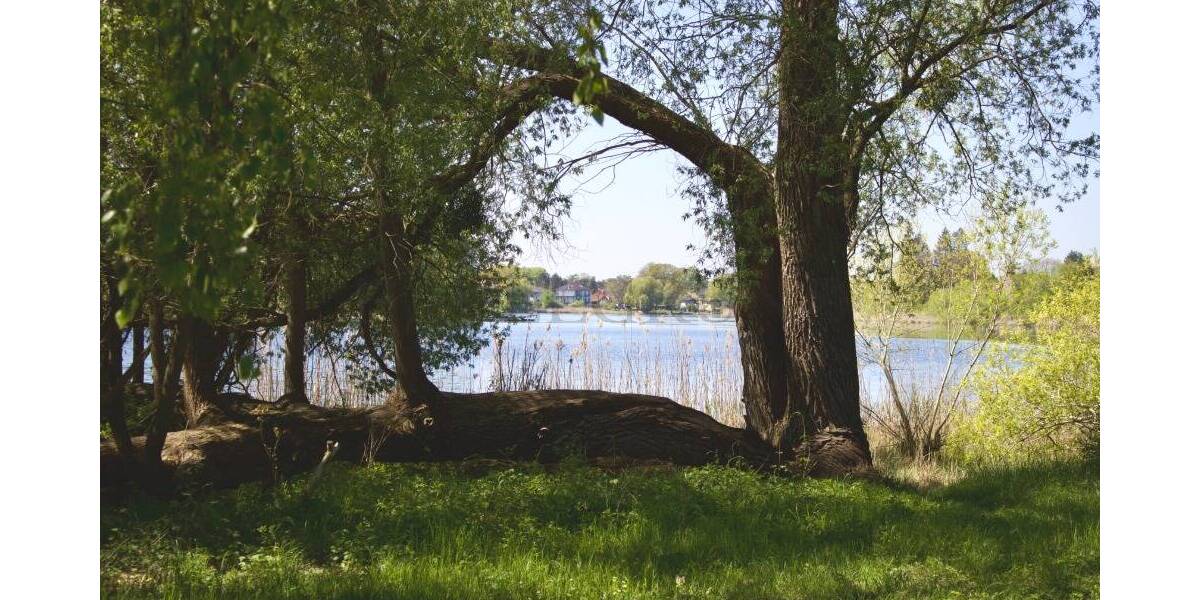 Etagenwohnung Falkensee - 6 Zimmer, 220 m&sup2;, 2.800&euro; | Angebot:26568835