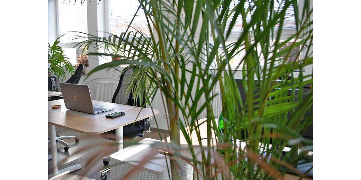 Gewerbeobjekt Andernach - 199&euro; | Angebot:26603253