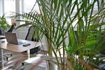 Gewerbeobjekt Andernach - 199&euro; | Angebot:26603253