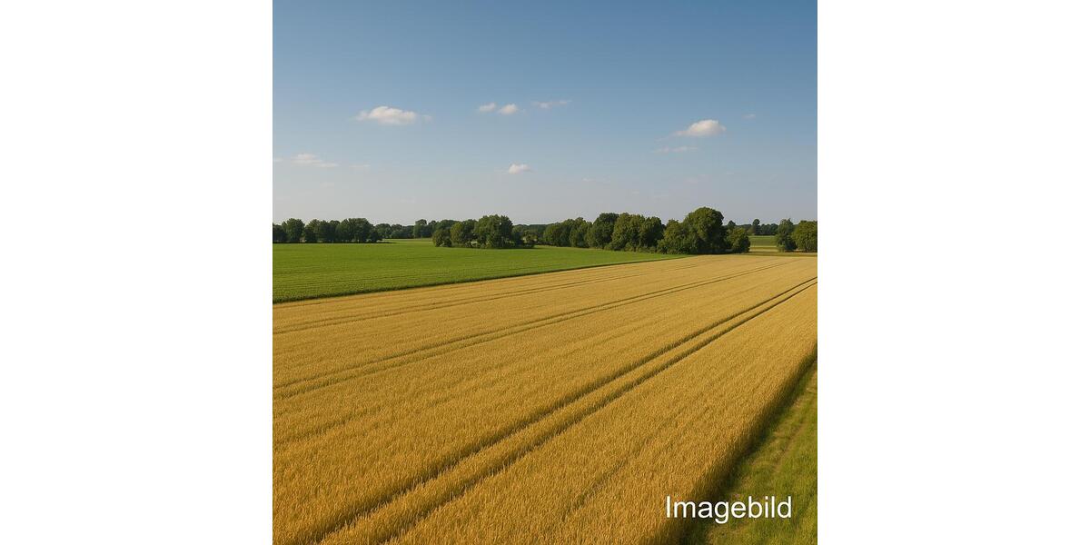Landwirtschaftliche Nutzflächen zur Verpachtung Gemarkung Liebenthal, Gemeinde Heiligengrabe zimmer