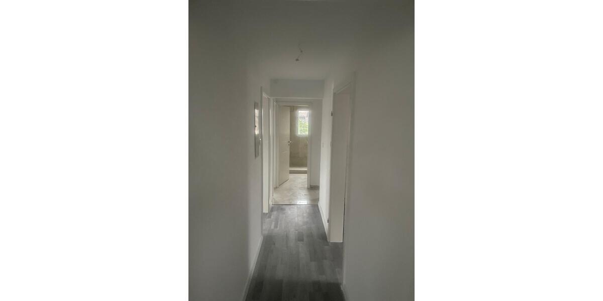 2,5 Zimmerwohnung zimmer