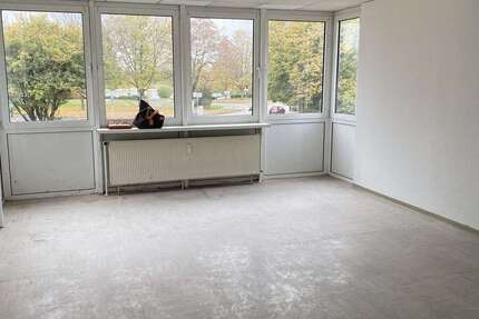 Wohnung zum Mieten in Duisburg 490 € 50 m² 2 zimmer