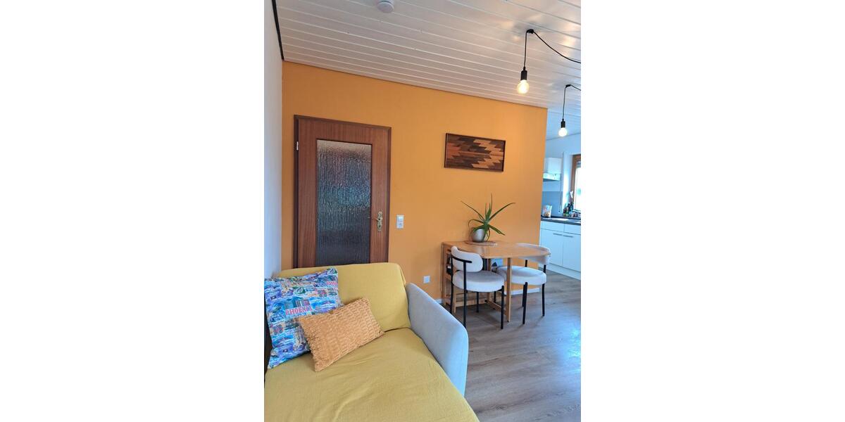 Wohnen auf Zeit Eisenbach (Hochschwarzwald) - 1 Zimmer, 30 m&sup2;, 600&euro; | Angebot:25677541