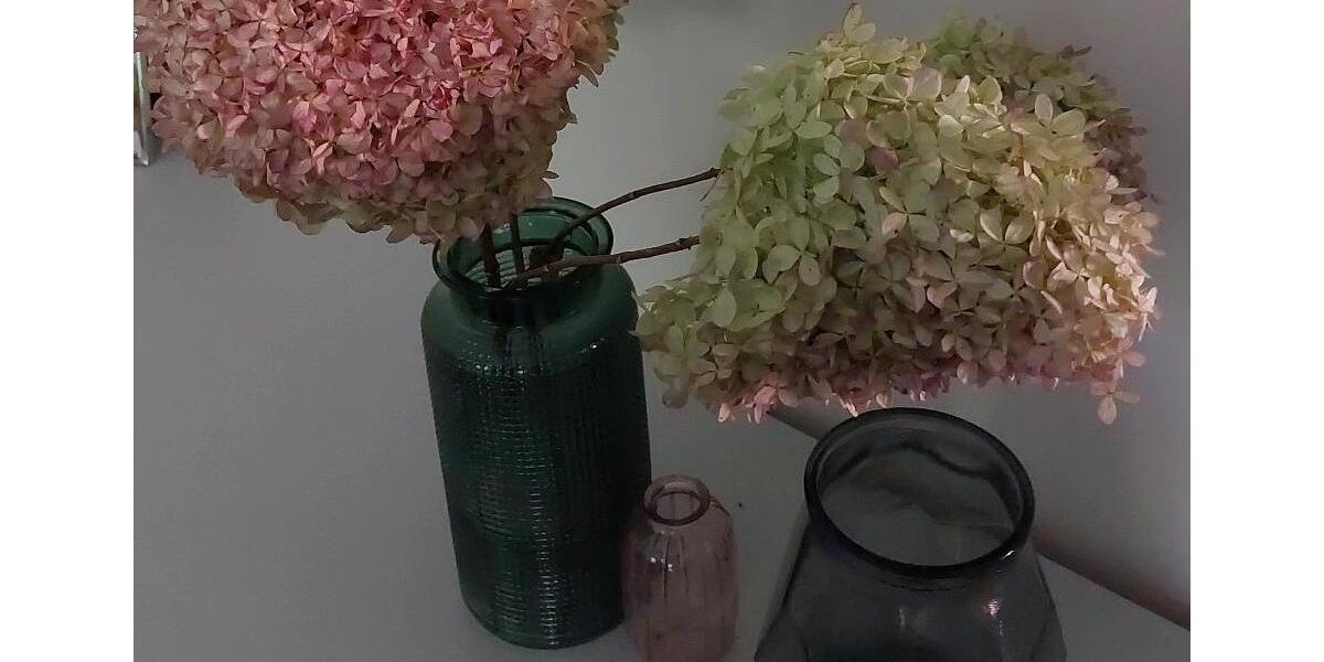 Etagenwohnung Uetersen - 2 Zimmer, 500&euro; | Angebot:23090725