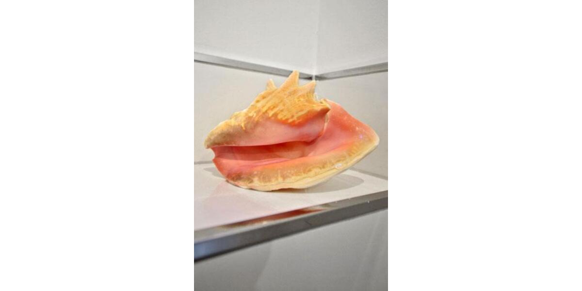 Erdgeschoßwohnung Hürth - 1 Zimmer, 41 m&sup2;, 985&euro; | Angebot:24354471