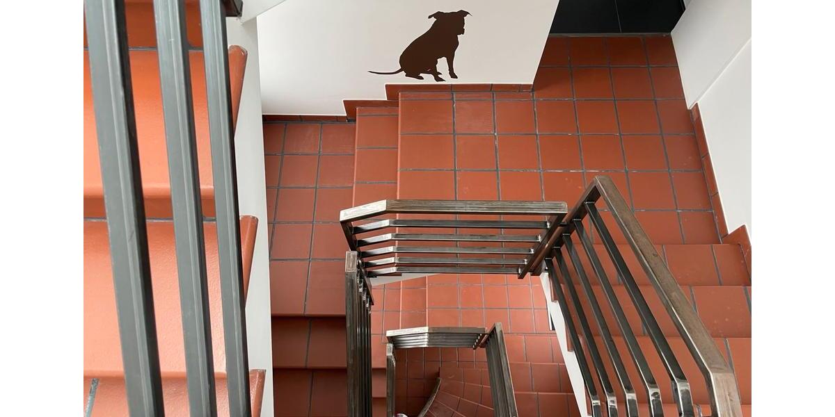 Gewerbeobjekt Volkmarsen - 1.200&euro; | Angebot:25843754