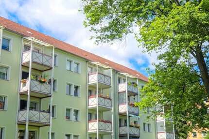 Wohnung Zwickau Marienthal - 2 Zimmer, 49 m&sup2;, 319&euro; | Angebot:27113763