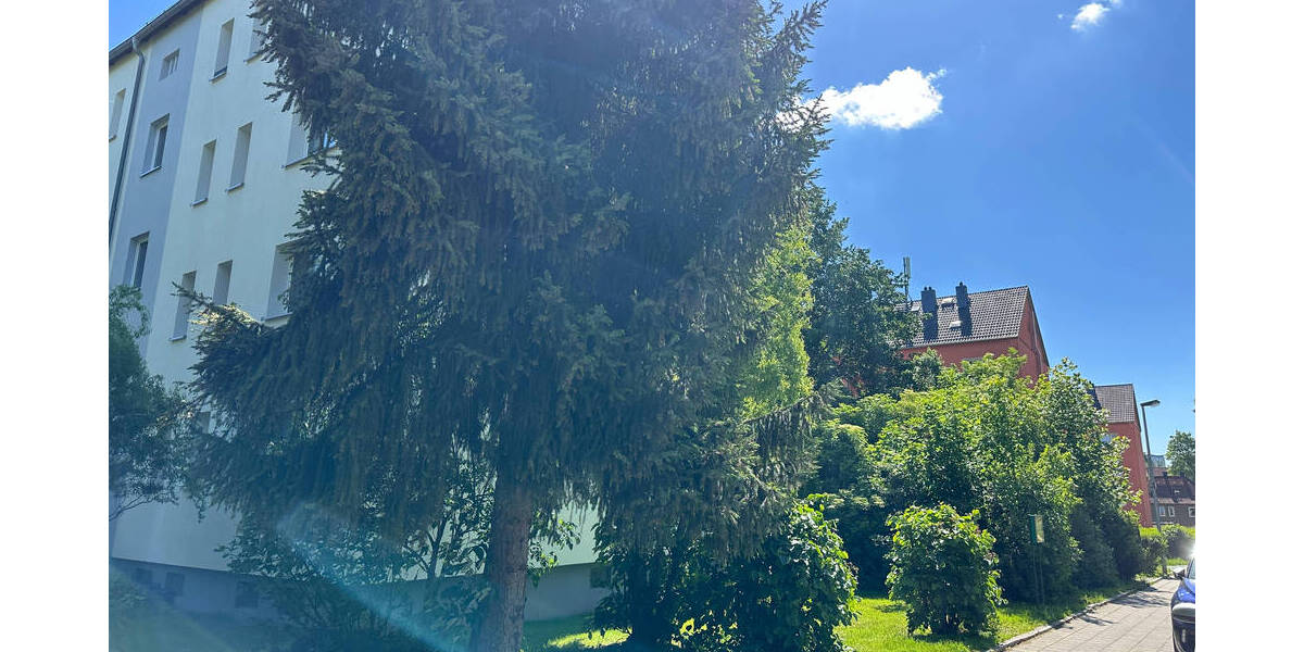 Zimmer Chemnitz Reichenbrand - 5 Zimmer, 100 m&sup2;, 599&euro; | Angebot:26080196