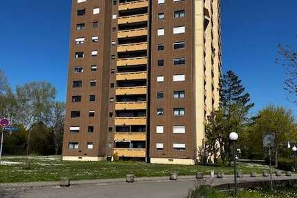 Wohnung Neuhofen - 1 Zimmer, 60 m&sup2;, 480&euro; | Angebot:26013697