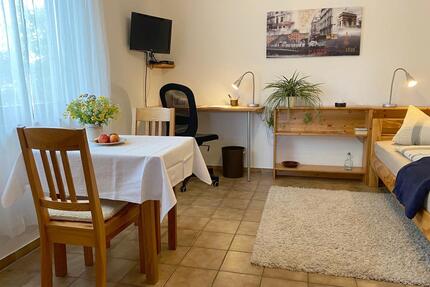 1-Zimmerwohnung mit TV, Küche, DuscheWC und Parkplatz in ruhiger Lage 1 zimmer