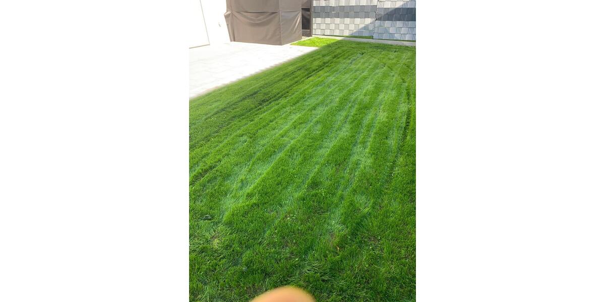 Erdgeschoßwohnung Schmidgaden - 3 Zimmer, 85 m&sup2;, 1.050&euro; | Angebot:25626153