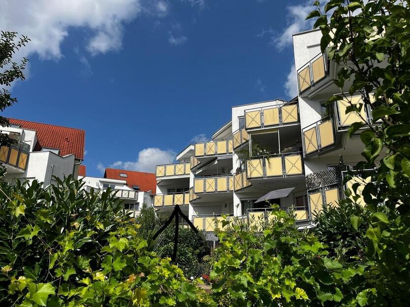 Kernsanierte 3,5 Zimmer-Wohnung in Ingersheim
