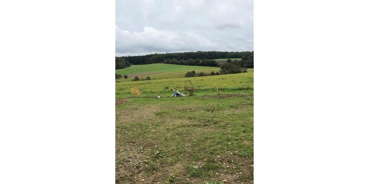 Terrassenwohnung Leiningen - 3 Zimmer, 75 m&sup2;, 800&euro; | Angebot:25724584