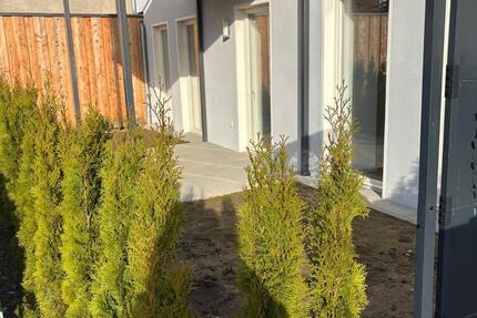 Wohnung Lemgo - 2 Zimmer, 93 m&sup2;, 1.295&euro; | Angebot:25262973