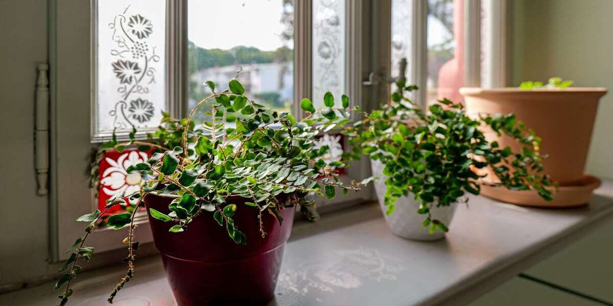 Etagenwohnung Frohburg - 4 Zimmer, 103 m&sup2;, 990&euro; | Angebot:26098934