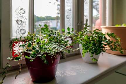 Wohnung Frohburg - 4 Zimmer, 103 m&sup2;, 990&euro; | Angebot:26098934