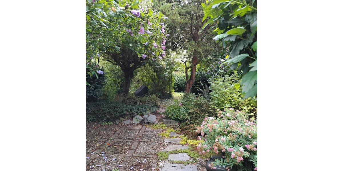 Wohnen auf Zeit Solms - 1 Zimmer, 20 m&sup2;, 490&euro; | Angebot:25627983