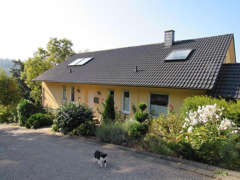 Idyllische 160m² TraumWohnung mit Balkon und Garten in Hanglage zum 01.12.2025 in Oberzent