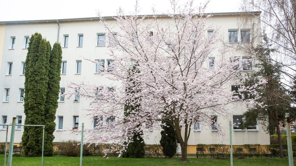 Etagenwohnung Hohenmölsen - 2 Zimmer, 49 m&sup2;, 322&euro; | Angebot:24506401