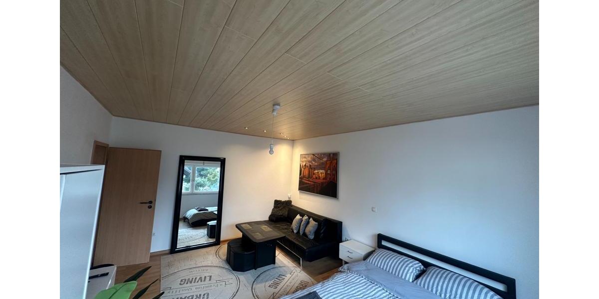 Wohnen auf Zeit Kehl - 1 Zimmer, 20 m&sup2;, 660&euro; | Angebot:24276396