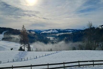 Wohnung Stiefenhofen - 3 Zimmer, 100 m&sup2;, 1.000&euro; | Angebot:25082282