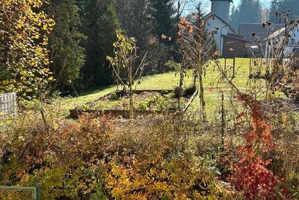 Monteurzimmer 1 zimmer