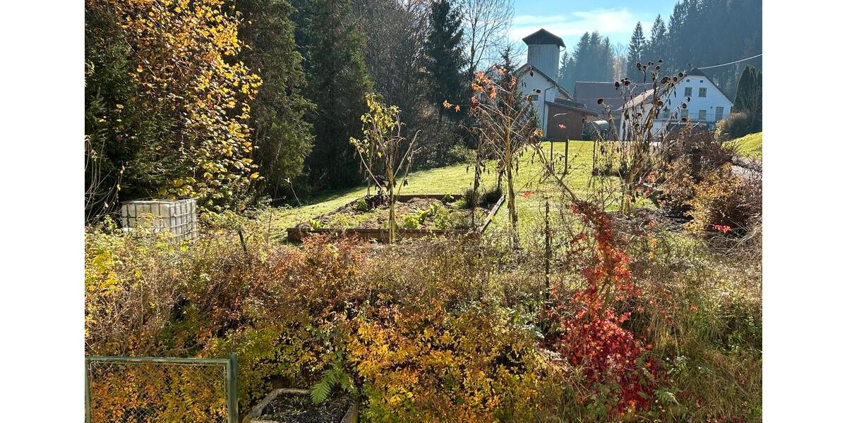 Monteurzimmer 1 zimmer