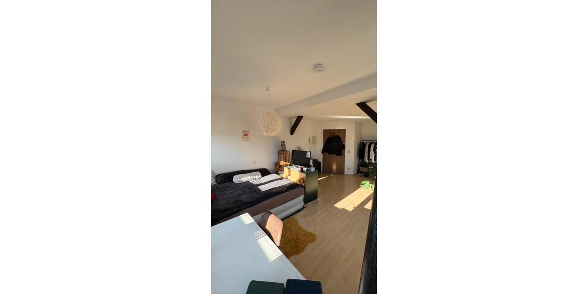 Dachgeschoßwohnung Halle (Saale) Damaschkestraße - 1 Zimmer, 35 m&sup2;, 335&euro; | Angebot:26693652