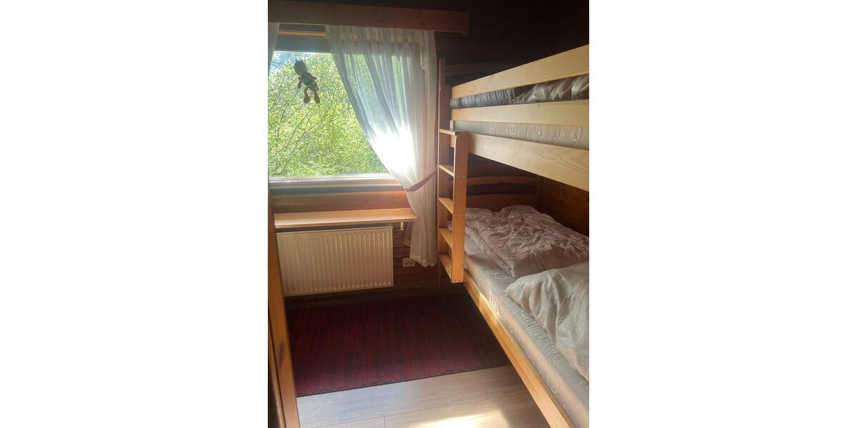 Harz Ferienhaus Blockhaus 6 Pers +Hund 2 Kamine gr Grundst. süd H 4 zimmer