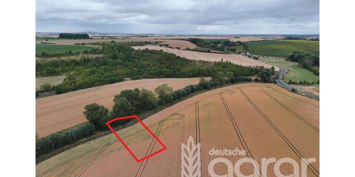 Kompakte Ackerfläche für Jedermann bei Halle (Saale) - ca. 1330 m² zimmer