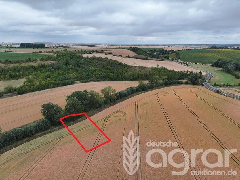 Kompakte Ackerfläche für Jedermann bei Halle (Saale) - ca. 1330 m² zimmer