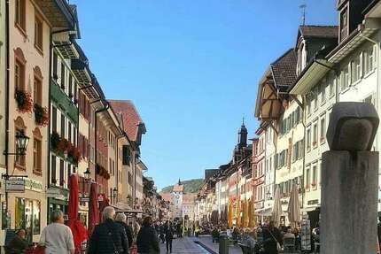 Wohnung Waldshut-Tiengen Tiengen - 3 Zimmer, 115 m&sup2;, 1.724&euro; | Angebot:25235538