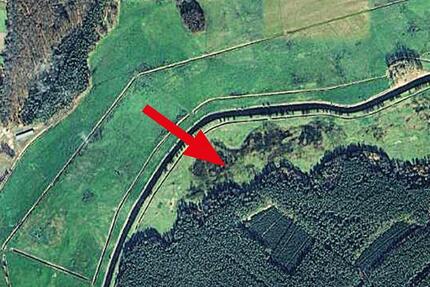 Gewerbeobjekt Grabow - 1.200&euro; | Angebot:24713327