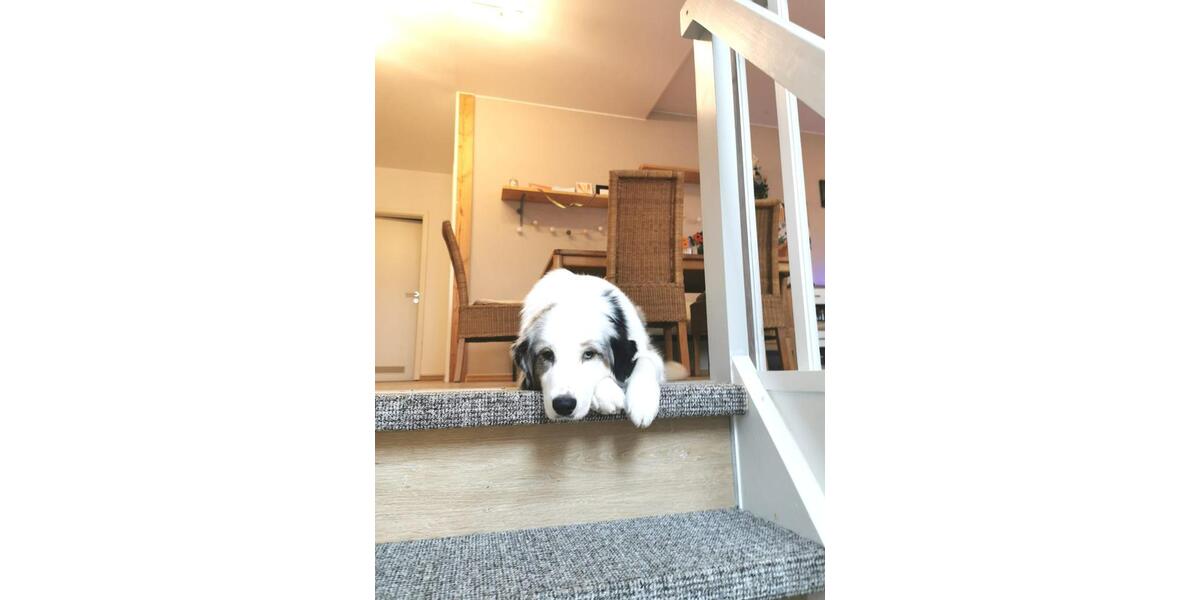 Wohnen auf Zeit Lilienthal - 1 Zimmer, 22 m&sup2;, 540&euro; | Angebot:24827763