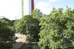 Wohnen auf Zeit Berlin Mitte - 3 Zimmer, 76 m&sup2;, 2.200&euro; | Angebot:25790887