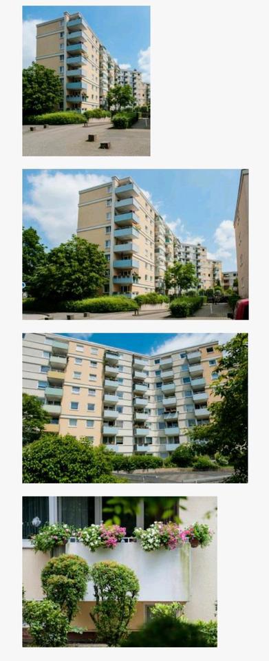 Wohnung in Duisburg-Grossenbaum ab sofort zu vermieten