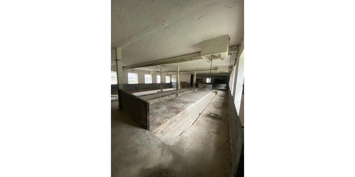 Gewerbeobjekt Sibbesse - 1.500&euro; | Angebot:26614260