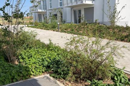 Wohnung Hargesheim - 2 Zimmer, 66 m&sup2;, 890&euro; | Angebot:22242480