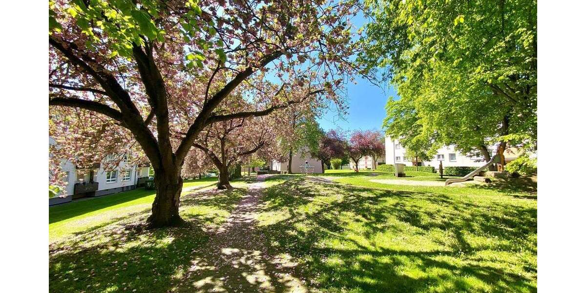 Etagenwohnung Fritzlar - 3 Zimmer, 65 m&sup2;, 527&euro; | Angebot:24860804