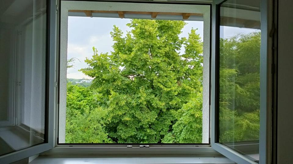 Wohnen auf Zeit Dortmund Hombruch - 1 Zimmer, 20 m&sup2;, 308&euro; | Angebot:26051064