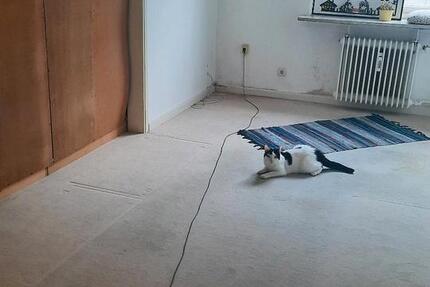 Wohnen auf Zeit Lübeck Innenstadt - 1 Zimmer, 15 m&sup2;, 400&euro; | Angebot:24433263