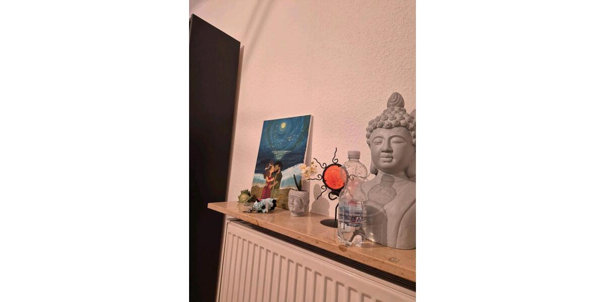 Wohnen auf Zeit Heidelberg Boxberg - 1 Zimmer, 20 m&sup2;, 665&euro; | Angebot:25989605