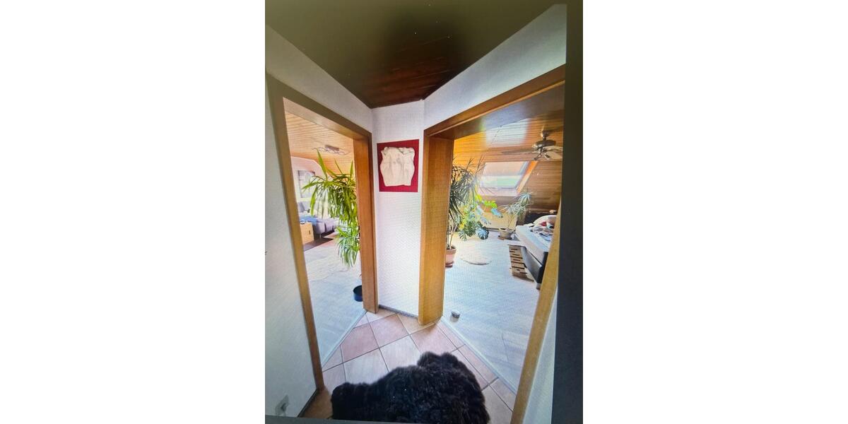 Dachgeschoßwohnung Langen (Hessen) - 4 Zimmer, 97 m&sup2;, 900&euro; | Angebot:25792490