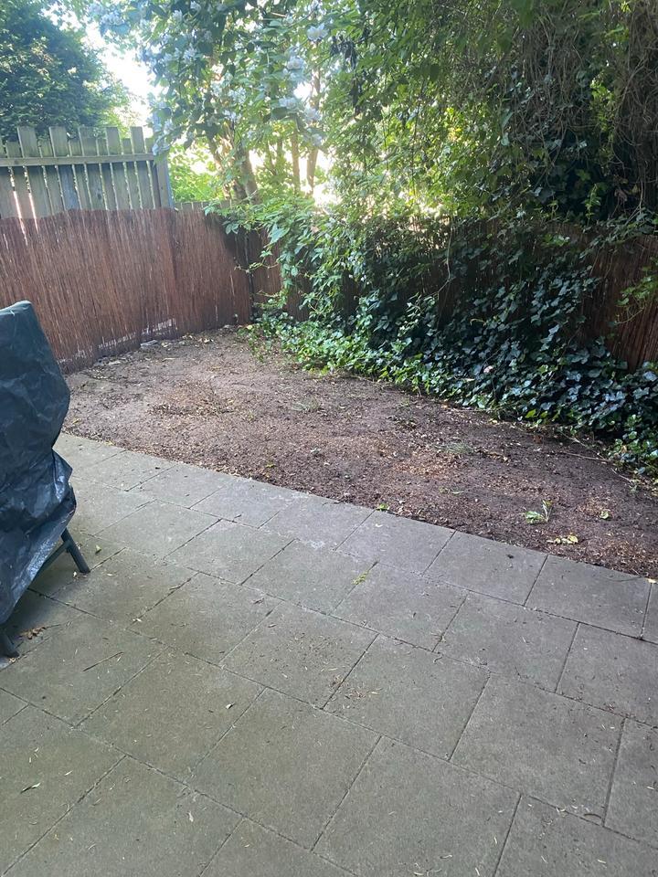 Wunderschöne 1,5 Zimmer mit Terrasse und Blick zum Wiesengrund