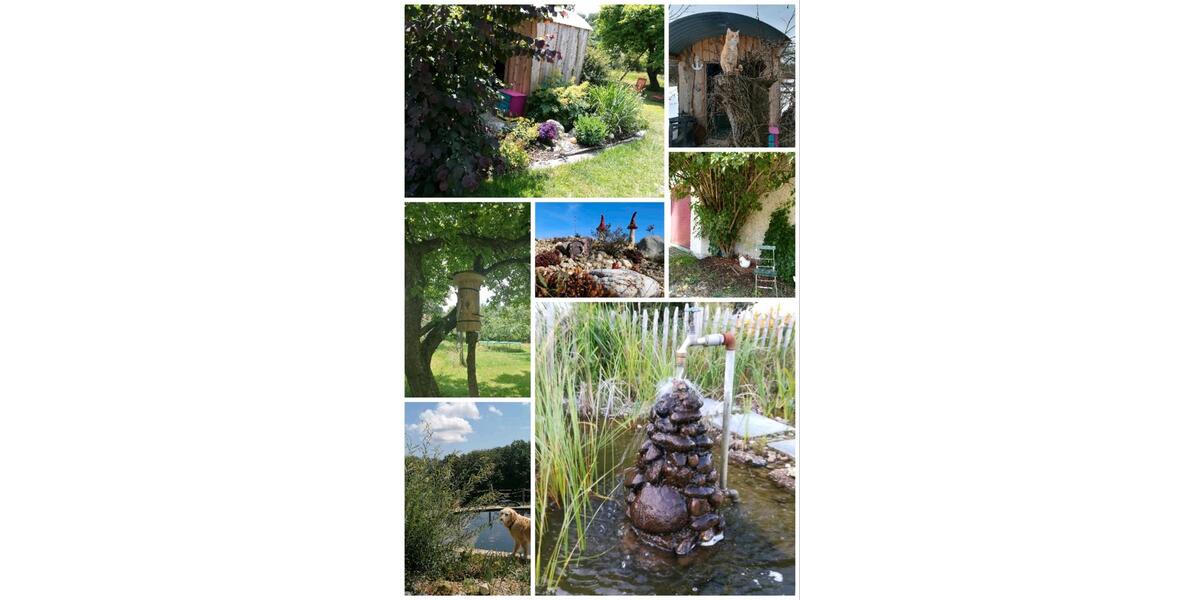 Wohnen auf Zeit Marktl - 1 Zimmer, 25 m&sup2;, 550&euro; | Angebot:25824775