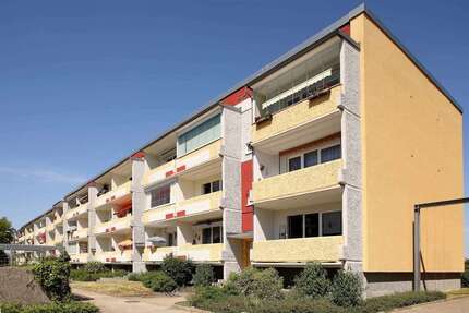 Wohnung Neubrandenburg Datzeberg - 3 Zimmer, 63 m&sup2;, 313&euro; | Angebot:26953382