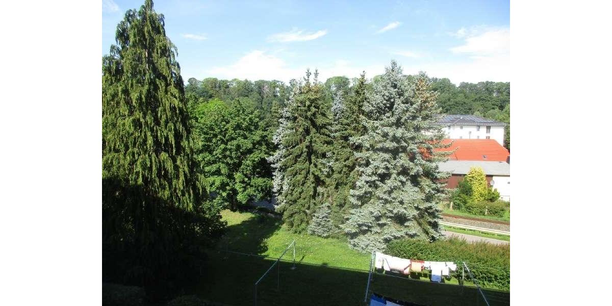 Attraktive Altbauwohnung in grüner Randlage von Dippoldiswalde 2 zimmer