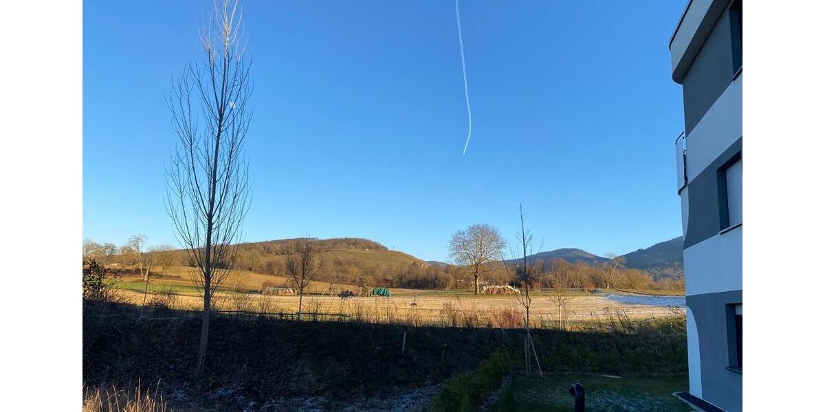 Einfamilienhaus Müllheim - 2 Zimmer, 75 m&sup2;, 1.250&euro; | Angebot:24473811